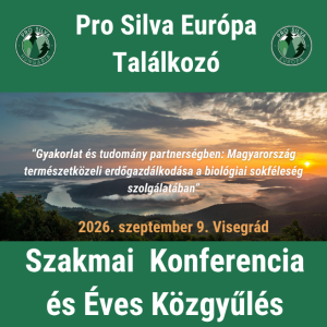 PS Európa 1. nap részvétel magyar tagoknak Tolmácsolással